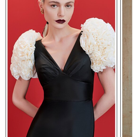 Women's Long Evening Dress - Picture 1 of 8